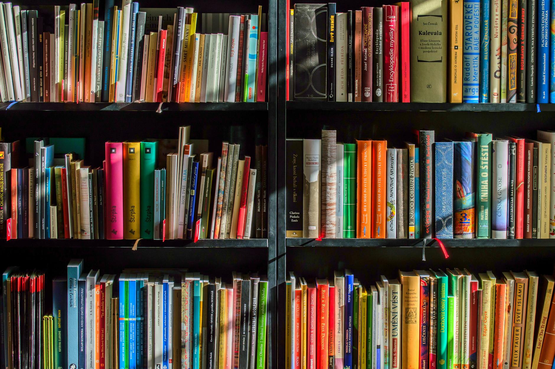 Books. Photo by Pixabay on Pexels.com